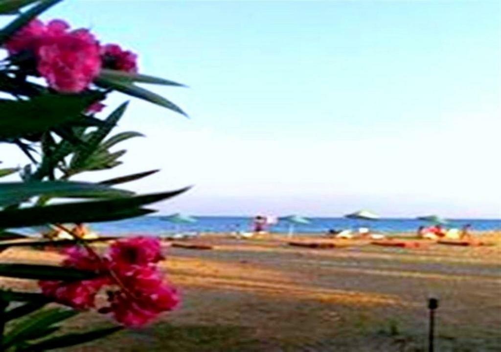 Aslihan Motel 阿纳穆尔 外观 照片