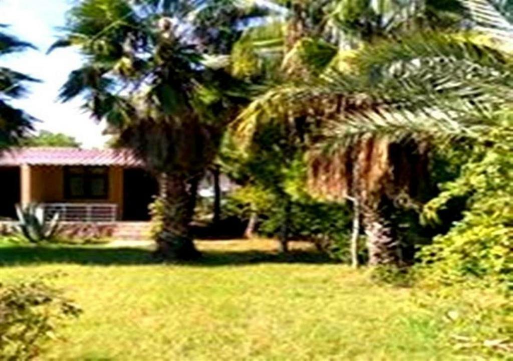 Aslihan Motel 阿纳穆尔 外观 照片