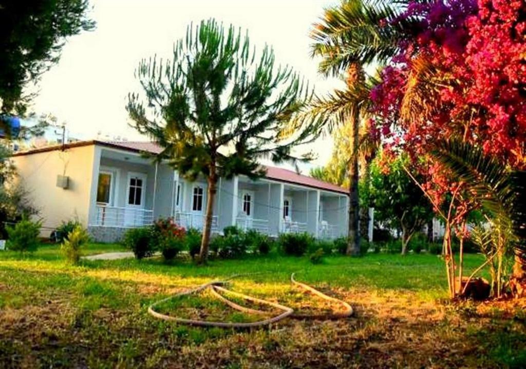 Aslihan Motel 阿纳穆尔 外观 照片